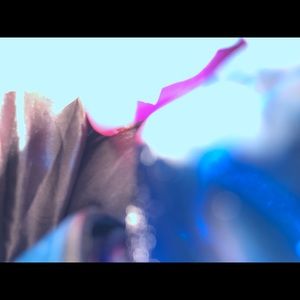 Meet your Posher, Carolyn